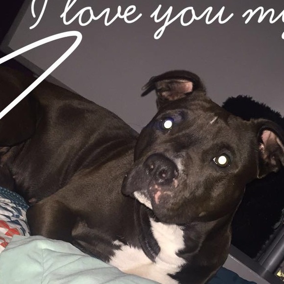 mollymillie
